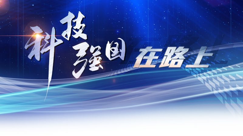 生物技术研发外包公司：助力企业高效创新**
