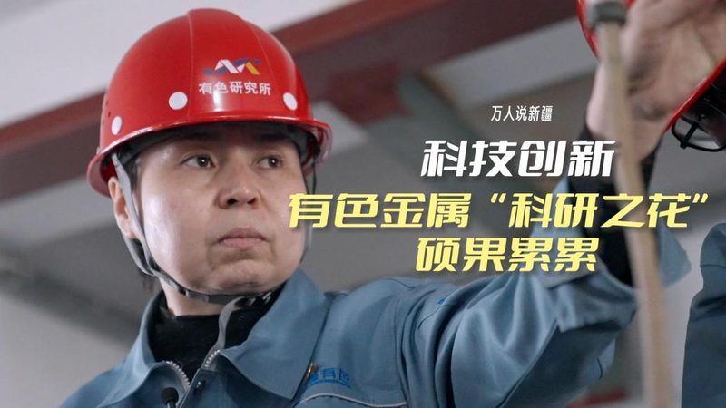 人工智能应用实战工具的选型逻辑**
